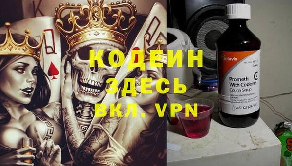 хмурый Белокуриха