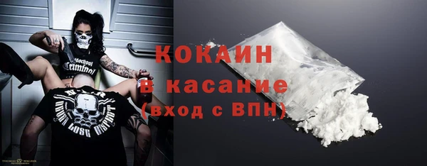 хмурый Белокуриха