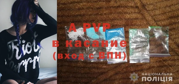 хмурый Белокуриха