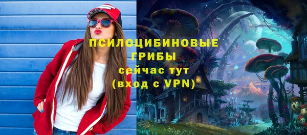 хмурый Белокуриха