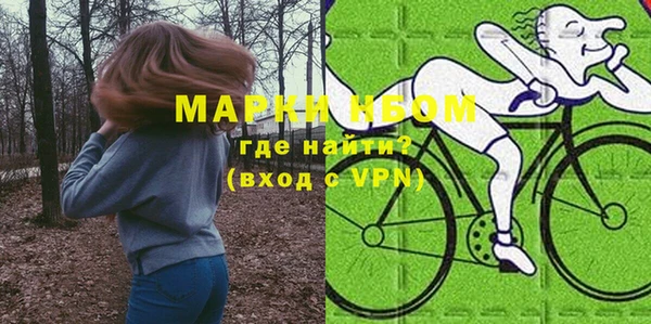 хмурый Белокуриха