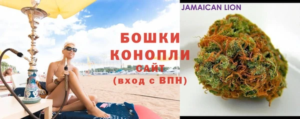 хмурый Белокуриха