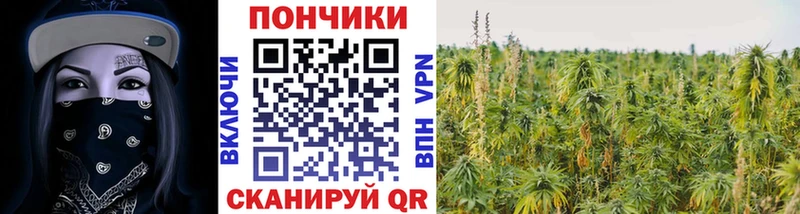 Каннабис MAZAR где найти Приволжский